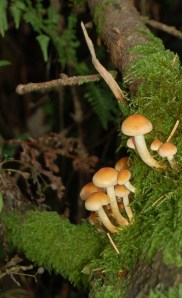 2013 10 06_4114_edited-1