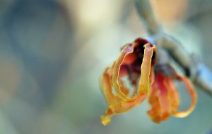 2013 12 29_5578_edited-1