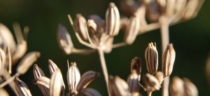 2013 12 29_5590_edited-1