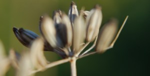 2013 12 29_5616_edited-1