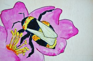 2013 12 31_5646_edited-1