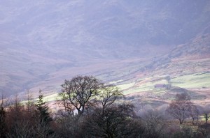 2014 01 03_5715_edited-1