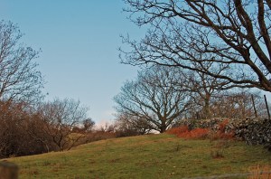 2014 01 03_5717_edited-1