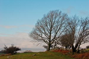 2014 01 03_5718_edited-1