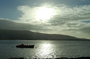 2014 01 03_5726_edited-1