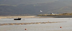 2014 01 03_5780_edited-1