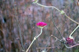 2014 01 07_5848_edited-1