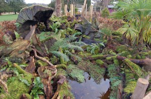 2014 01 07_5854_edited-1