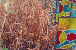 2014 01 07_5855_edited-1