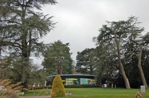 2014 01 07_5862_edited-1