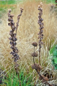 2014 01 07_5871_edited-1