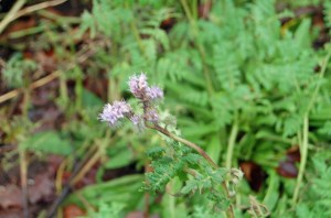 2014 01 07_5878_edited-1