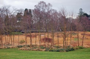 2014 01 07_5884_edited-1