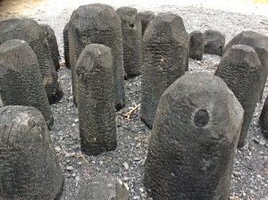 2014 01 26_6341_edited-1