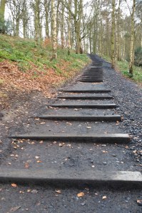 2014 01 26_6345_edited-1