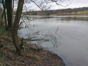 2014 01 26_6351_edited-1