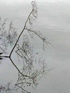 2014 01 26_6352_edited-1