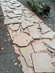 2014 01 26_6358_edited-1