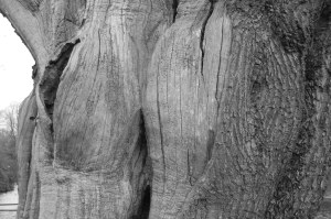 2014 02 25_6749_edited-1