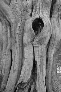 2014 02 25_6751_edited-1