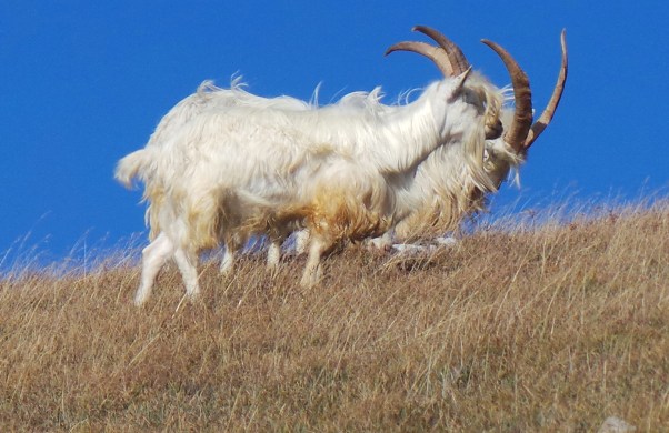 2014 09 27_5296_edited-1