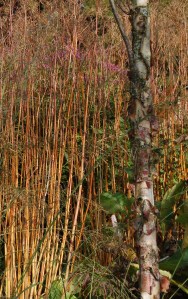 2014 09 30_5363_edited-1