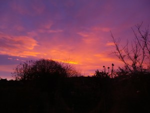 2014 12 09_8716