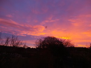 2014 12 09_8717