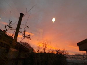 2014 12 09_8719
