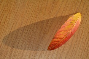 2014 12 31_9062