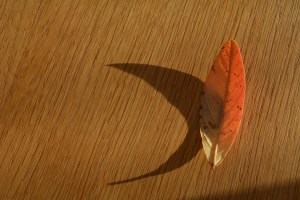 2014 12 31_9064