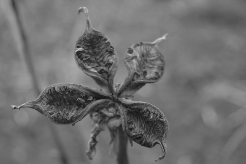 2015 01 01_9097_edited-1