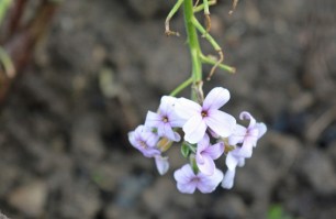 2015 01 18_9326_edited-1