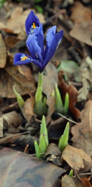 2015 01 18_9334_edited-1