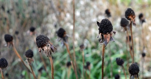 2015 01 18_9350_edited-1