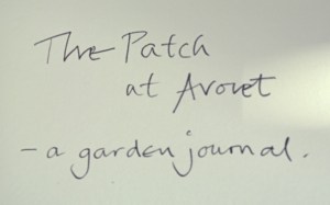 2015 02 04_9358_edited-1