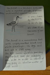 2015 02 04_9360_edited-1