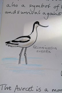 2015 02 04_9361_edited-1