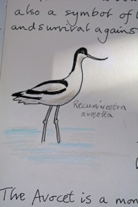 2015 02 04_9361_edited-1