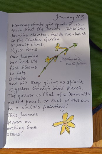 2015 02 04_9362_edited-1