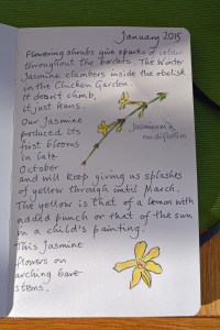 2015 02 04_9362_edited-1