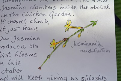 2015 02 04_9363_edited-1