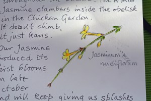 2015 02 04_9363_edited-1