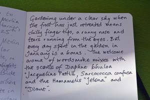 2015 02 04_9364_edited-1