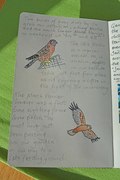 2015 02 08_9433_edited-1