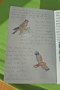 2015 02 08_9433_edited-1