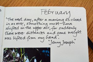 2015 03 13_9852_edited-1