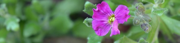 2015 03 25_0152_edited-1