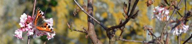 2015 03 25_0157_edited-1