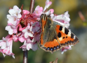 2015 03 25_0158_edited-1